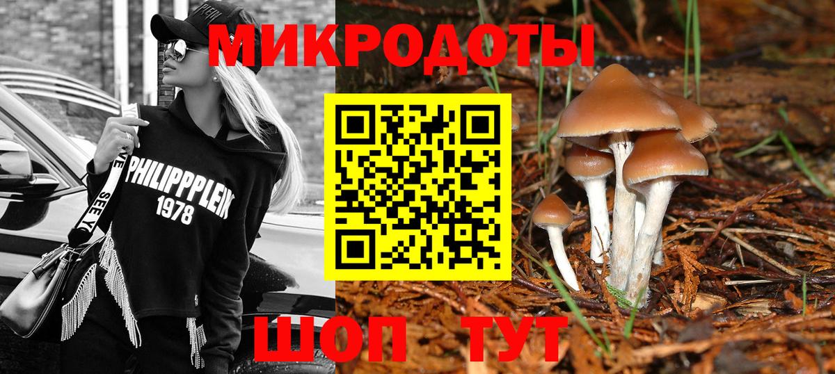 Псилоцибиновые грибы Cubensis Лобня